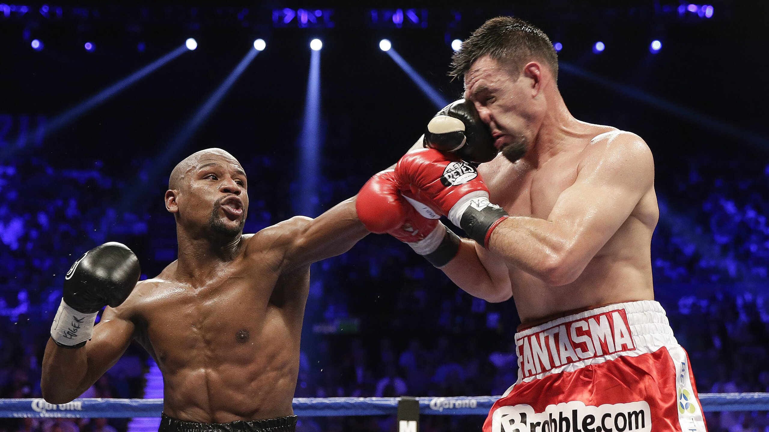 Team Liquid积极备战MSI