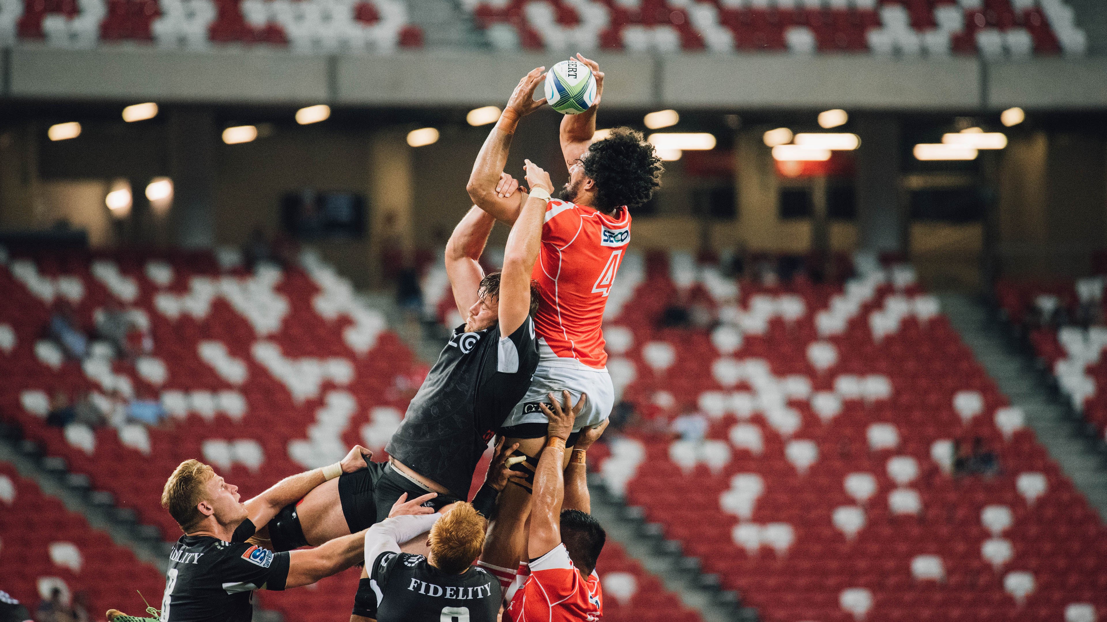海岛沙滩滑翔伞，飞越海岸线的自由快感，海边滑翔伞 冲浪